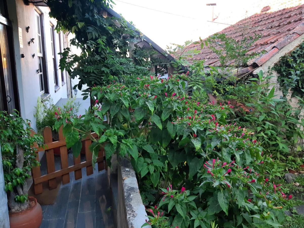 Casa Do Sr. Falcao Miranda do Corvo Bagian luar foto