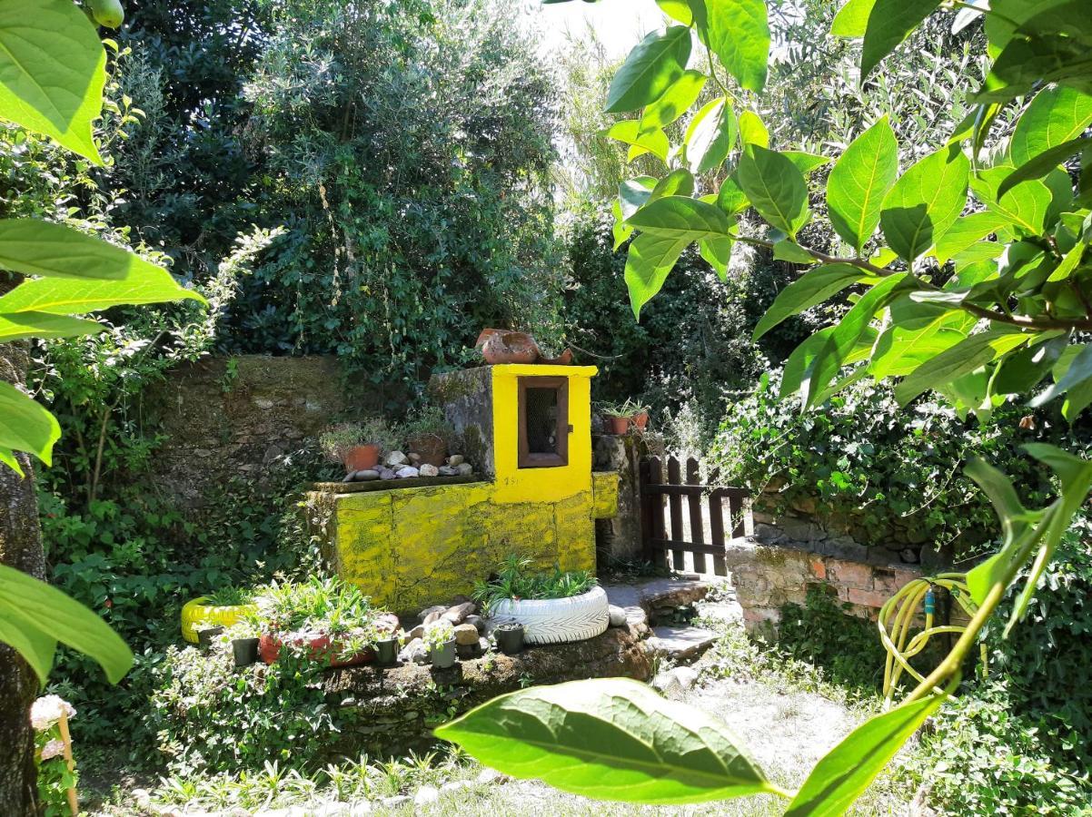 Casa Do Sr. Falcao Miranda do Corvo Bagian luar foto